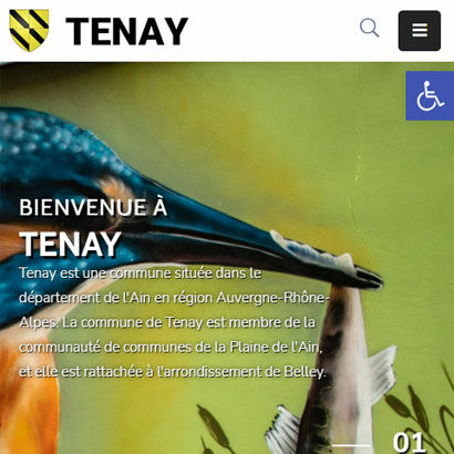 tenay-min-410