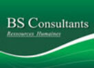logo-BS-Consultant